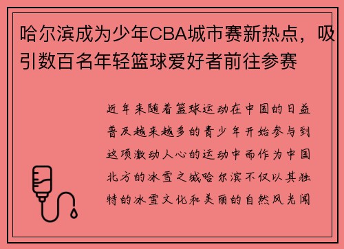 哈尔滨成为少年CBA城市赛新热点，吸引数百名年轻篮球爱好者前往参赛